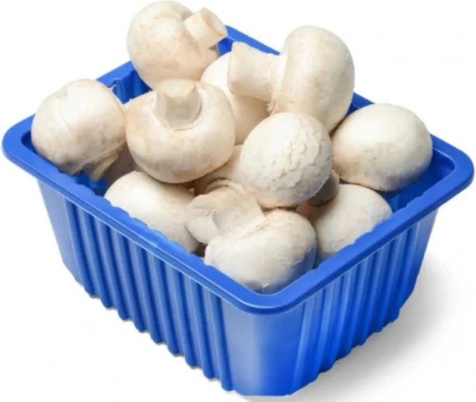 Mushroom Tubs 500gm