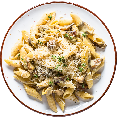 SnowfarmFresh manufacturer Mushroom Business Bulk Supplier canned mushroom